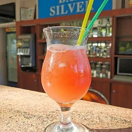 Hotel Silver